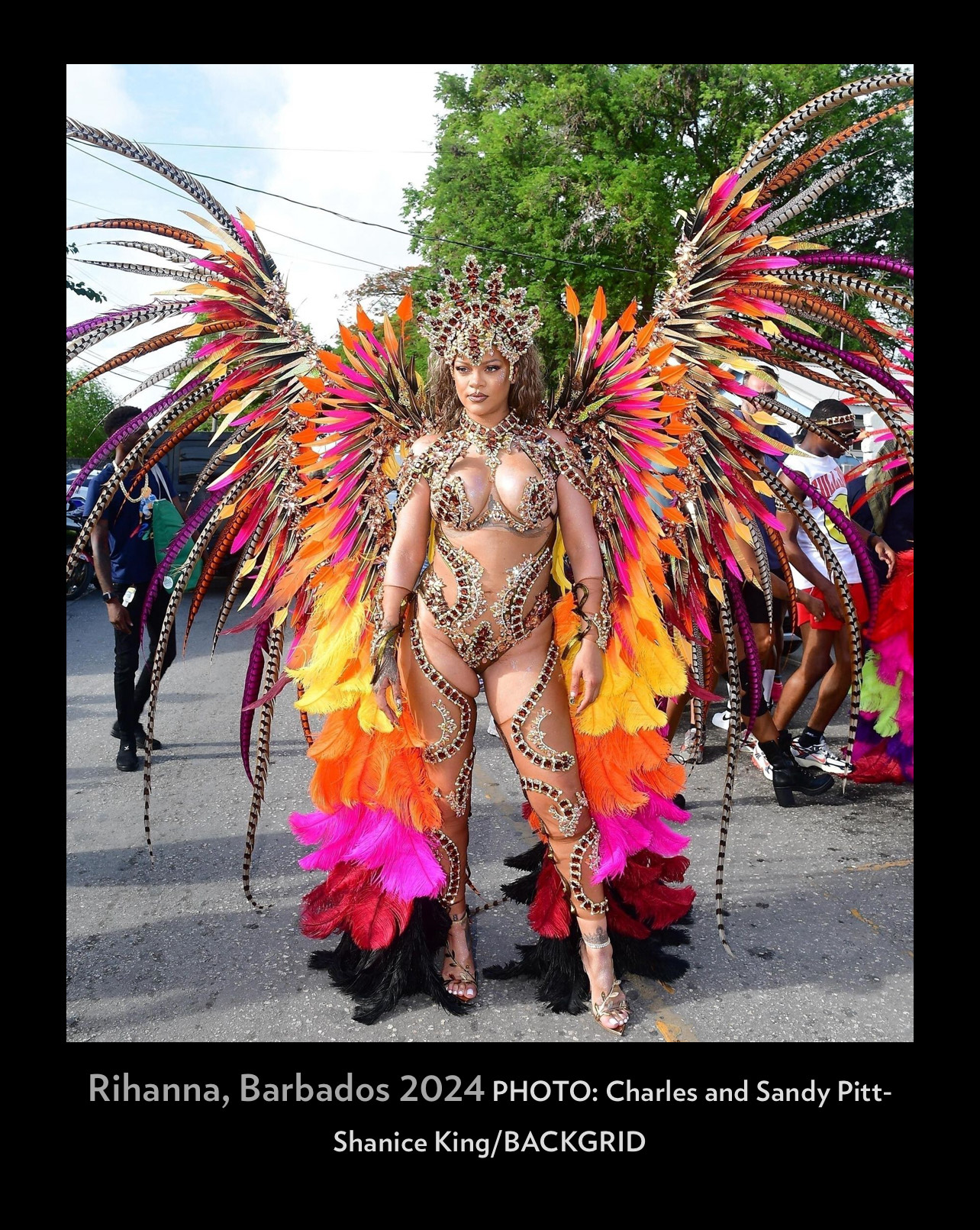 Rihanna: Carnival Queen at Crop Over Festival