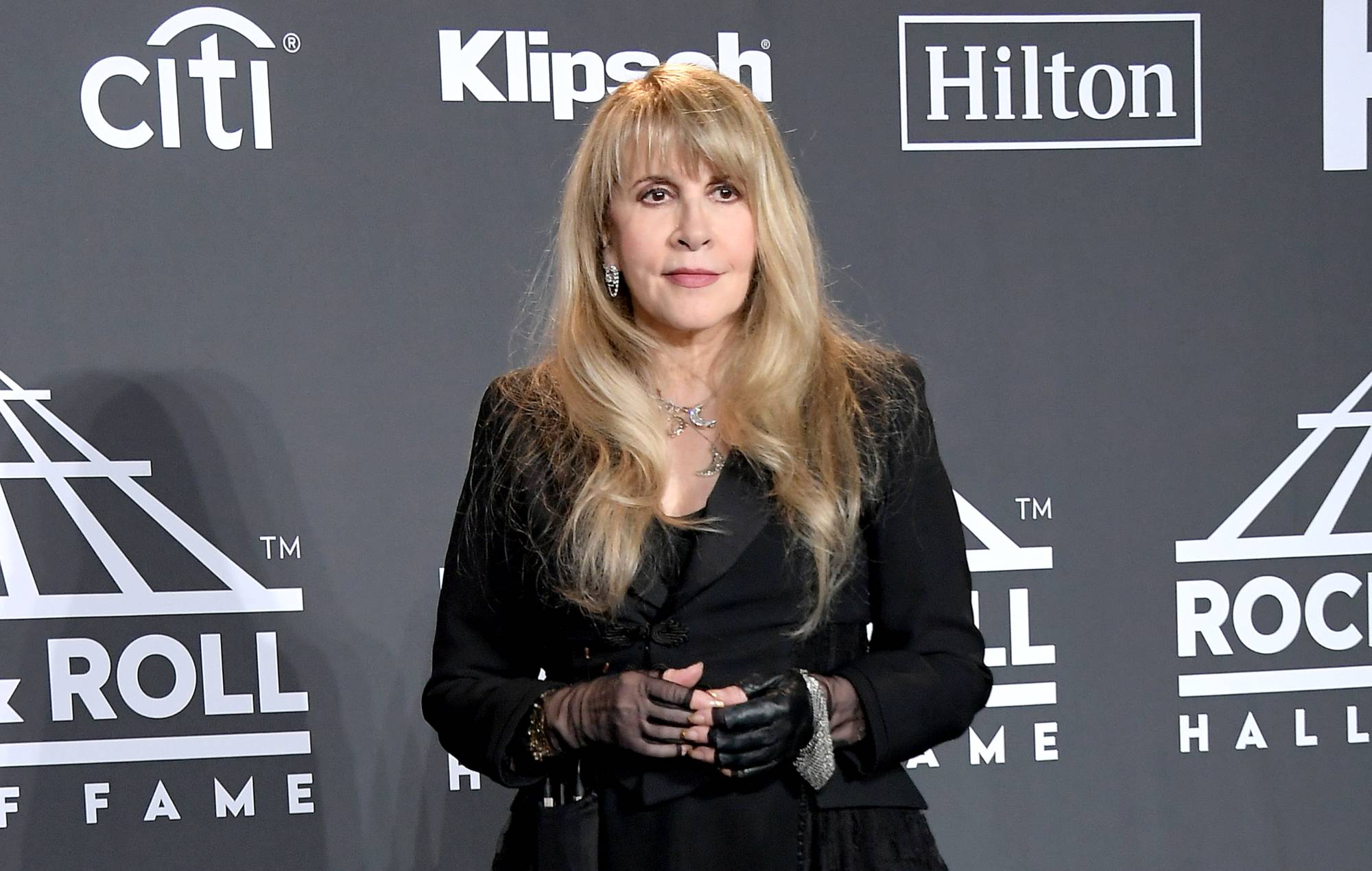 Stevie Nicks urges musicians to use their platforms to encourage people to vote